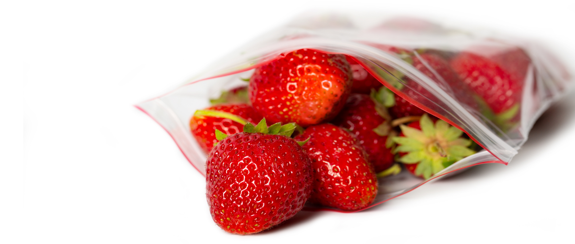Resealable Bags – Premier Supplies
