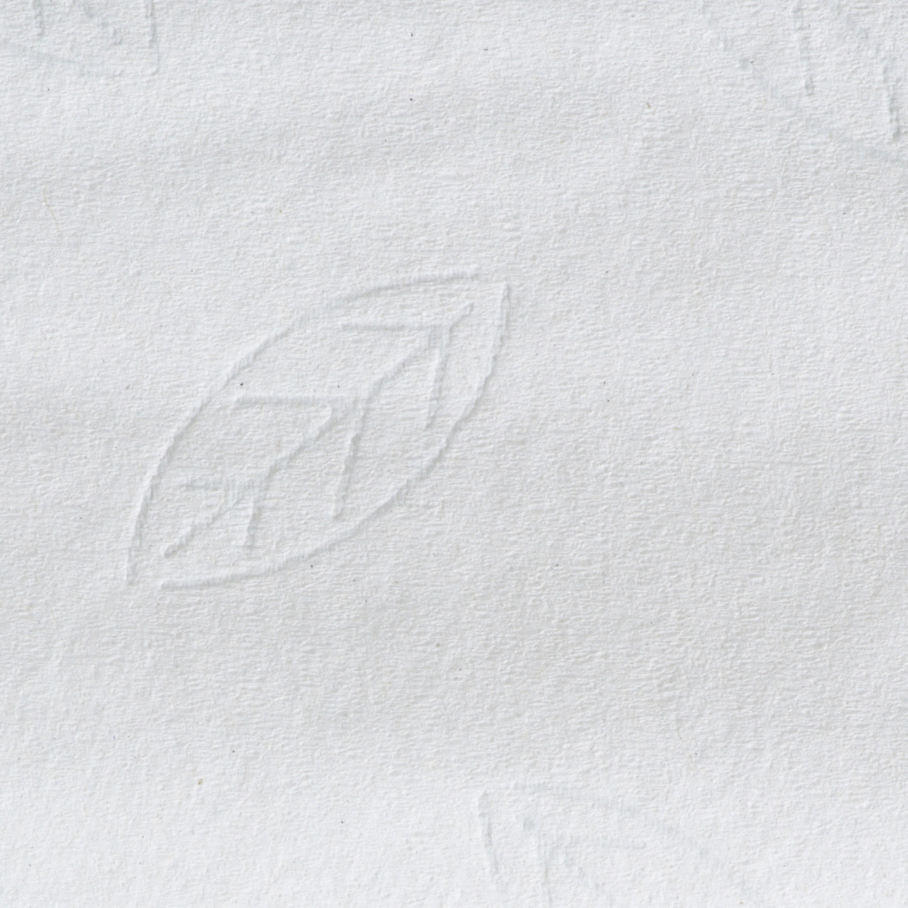 Tork 129089 White H2 System Xpress Flushable Multifold Hand Towel 2-ply (Pack 200 Sheets) (Outer 21 Packs)