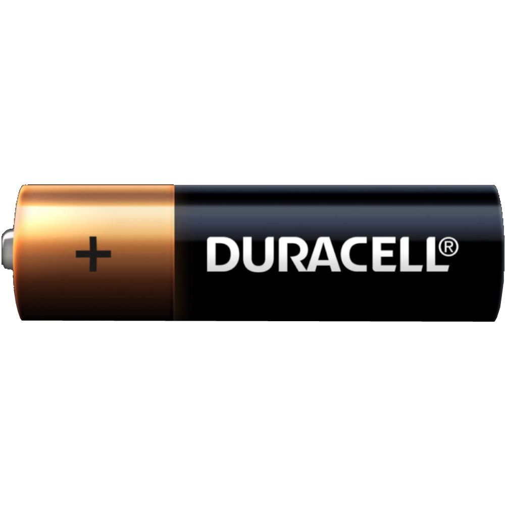 Duracell AA Coppertop Alkaline Batteries (Box 24 Batteries)