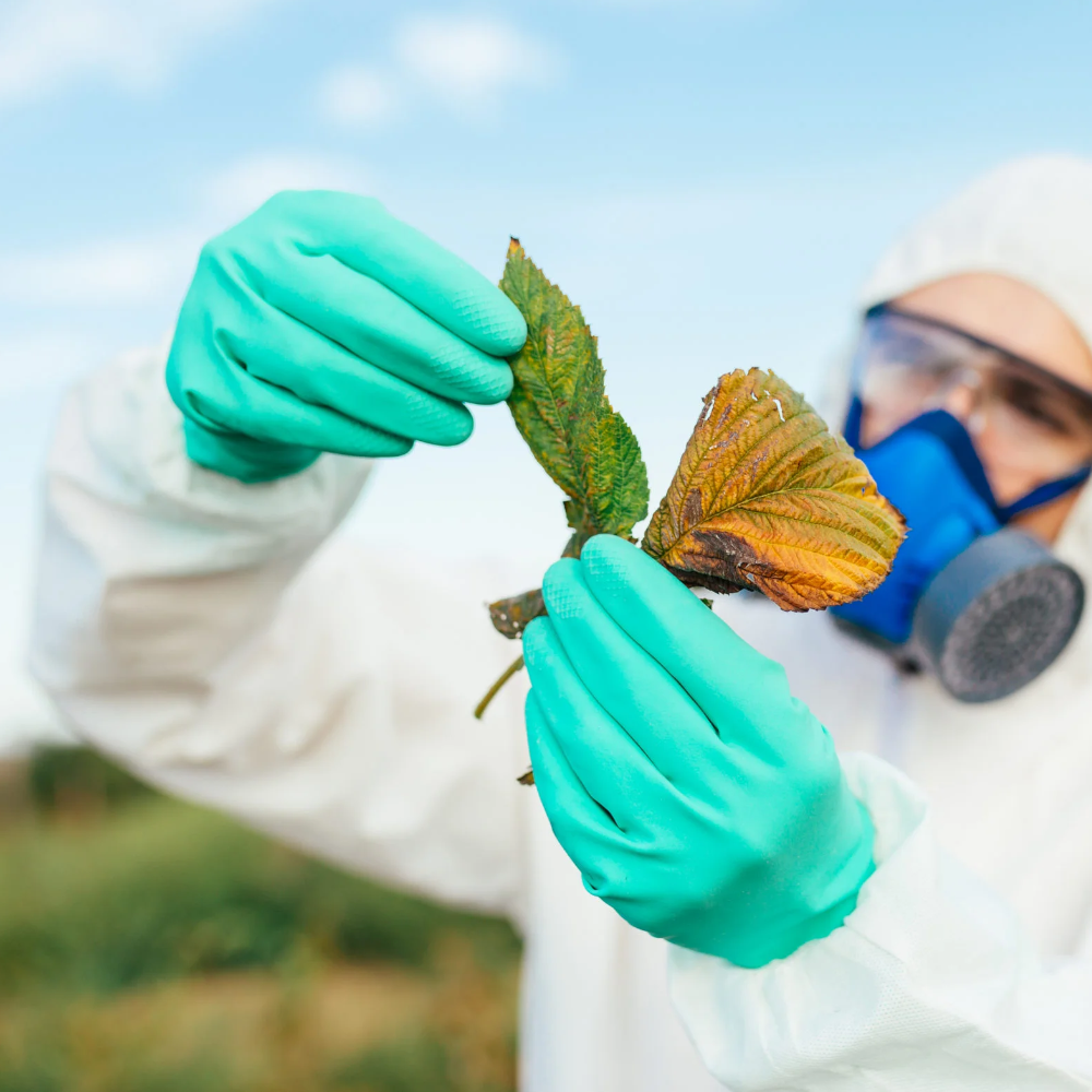 Pro-Val 33cm Nitrile Chemical Resistant Gloves (Pack 12 Pairs)